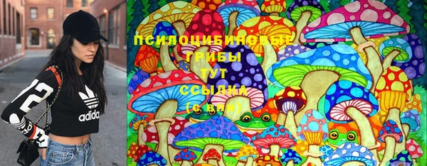 крисы Алексин